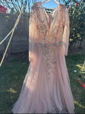Embellished Long Sleeve Tulle Gown - Blush Pink